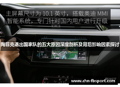 陶菲克退出国家队的五大原因深度剖析及背后影响因素探讨