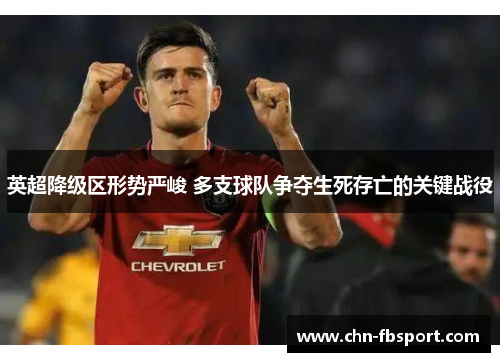 英超降级区形势严峻 多支球队争夺生死存亡的关键战役 英超降级区形势严峻 多支球队争夺生死存亡的关键战役
