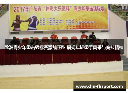 欧洲青少年拳击锦标赛激战正酣 展现年轻拳手风采与竞技精神