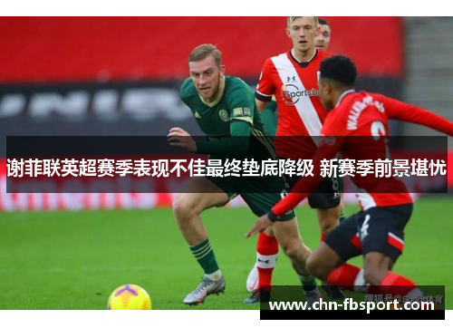 谢菲联英超赛季表现不佳最终垫底降级 新赛季前景堪忧